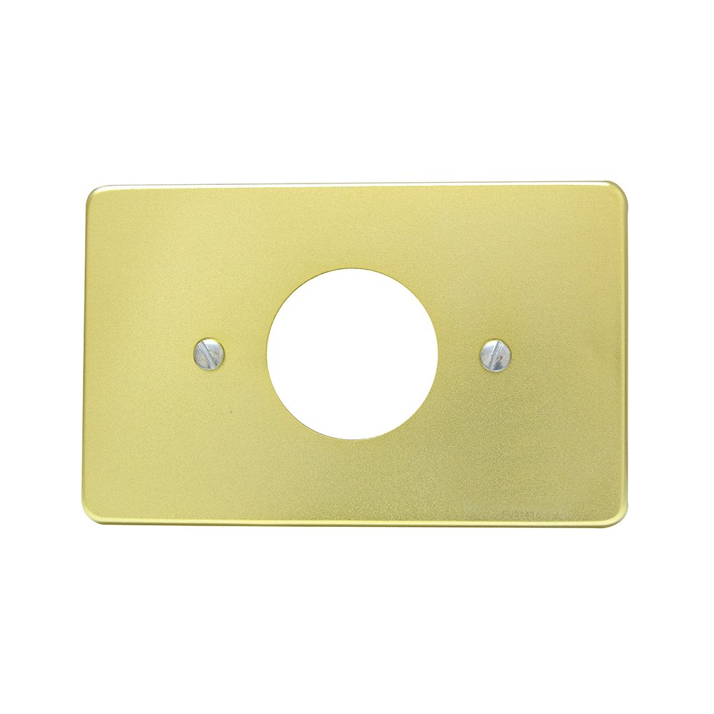 10 Pza Placa sencilla de aluminio, línea estándar, color oro Surtek