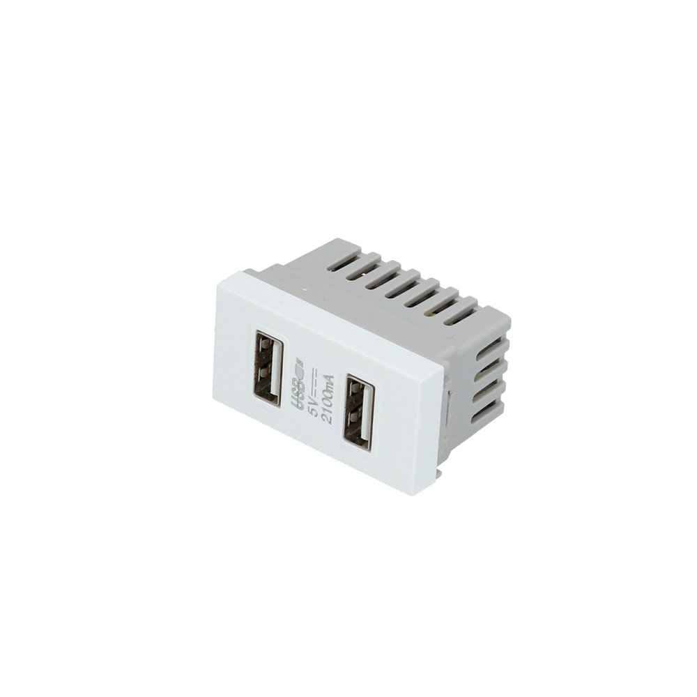 20 Pza Módulo USB doble 1/3, línea Premium, color blanco Surtek