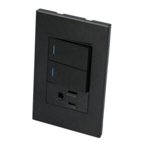 10 Pza Placa 2 Interruptor 1 contacto 1/3, línea Premium, color negro Surtek